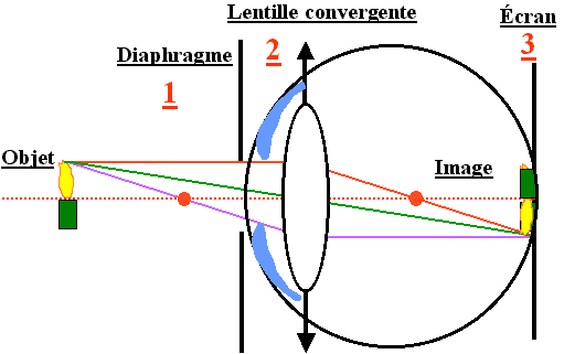 modeloeil.png